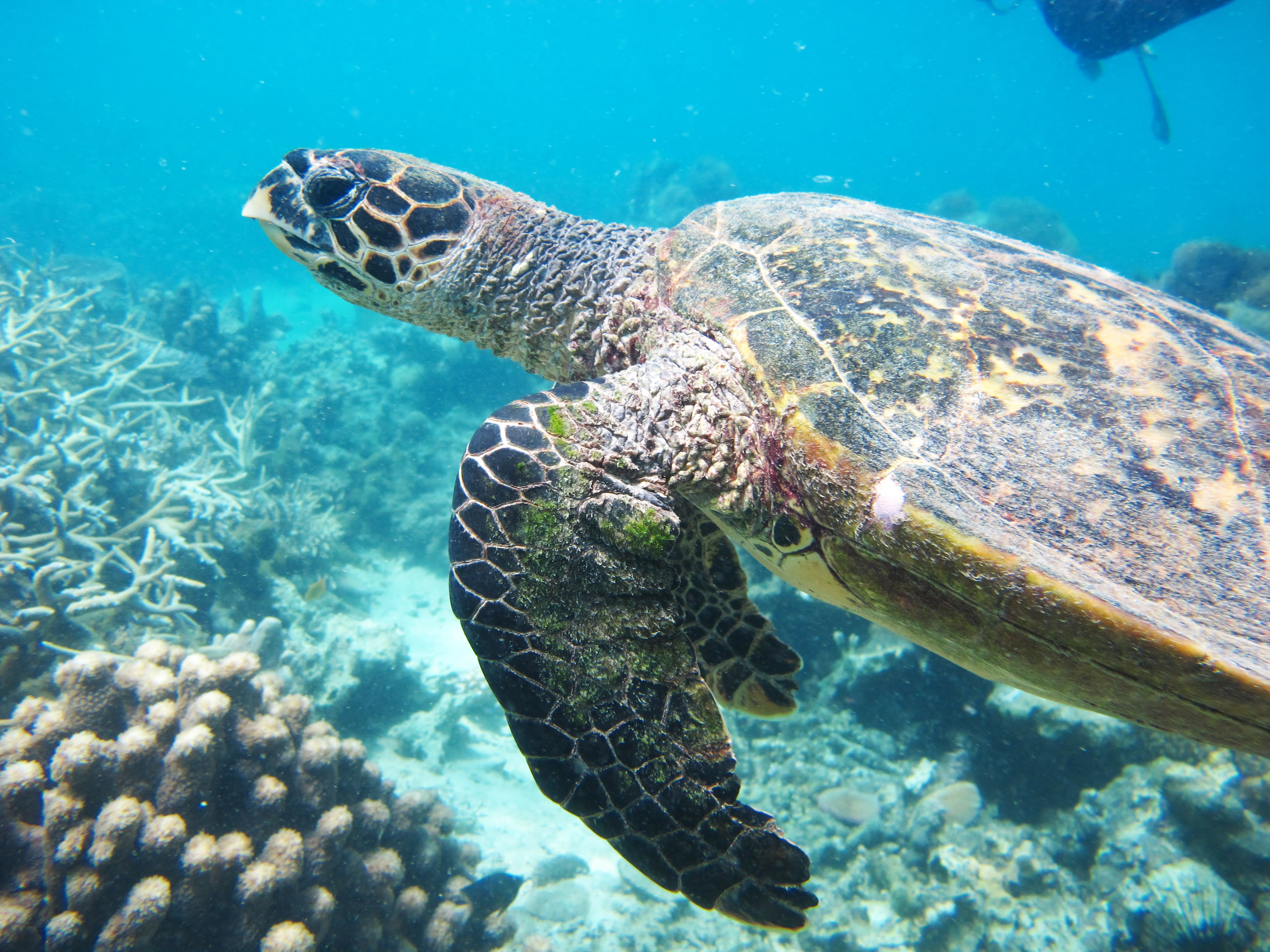 Parc national de Mananara Madaonsort