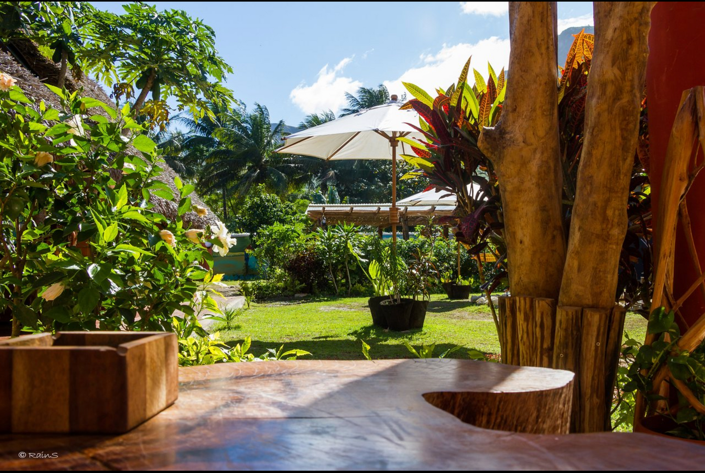 Rex Restaurant Pizzeria