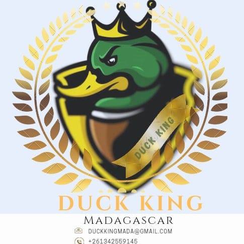 Duck KING Madagascar