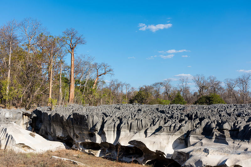 Tsingy de Namoroka National Park