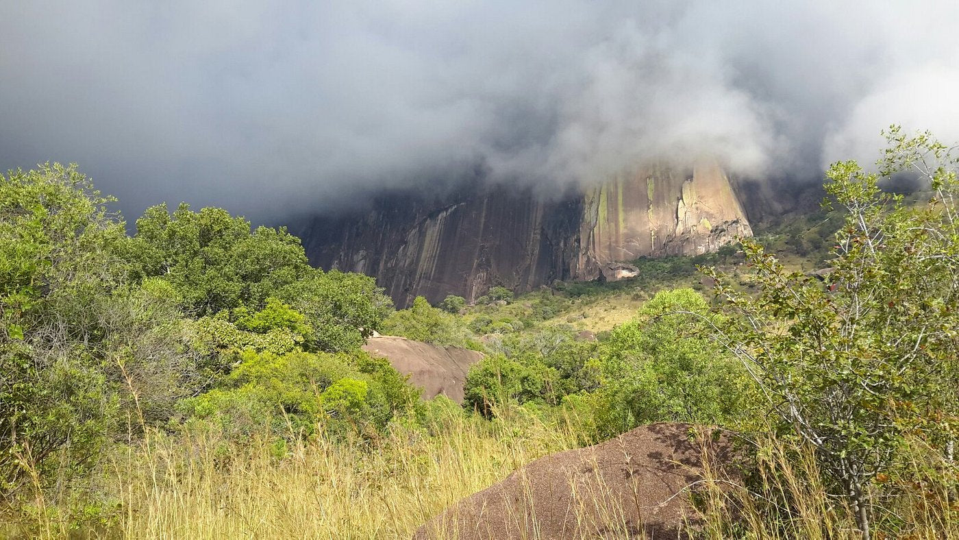 Ranomafana National Park