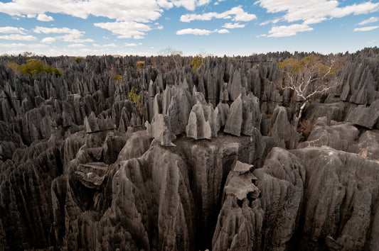 Parc National Tsingy de Bemaraha