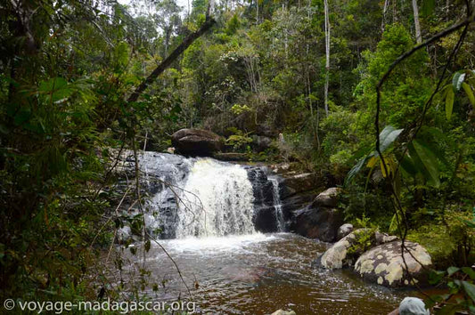 Mantadia National Park