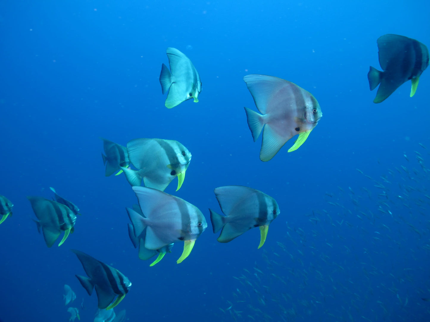 Parc National Marin Nosy Tanihely