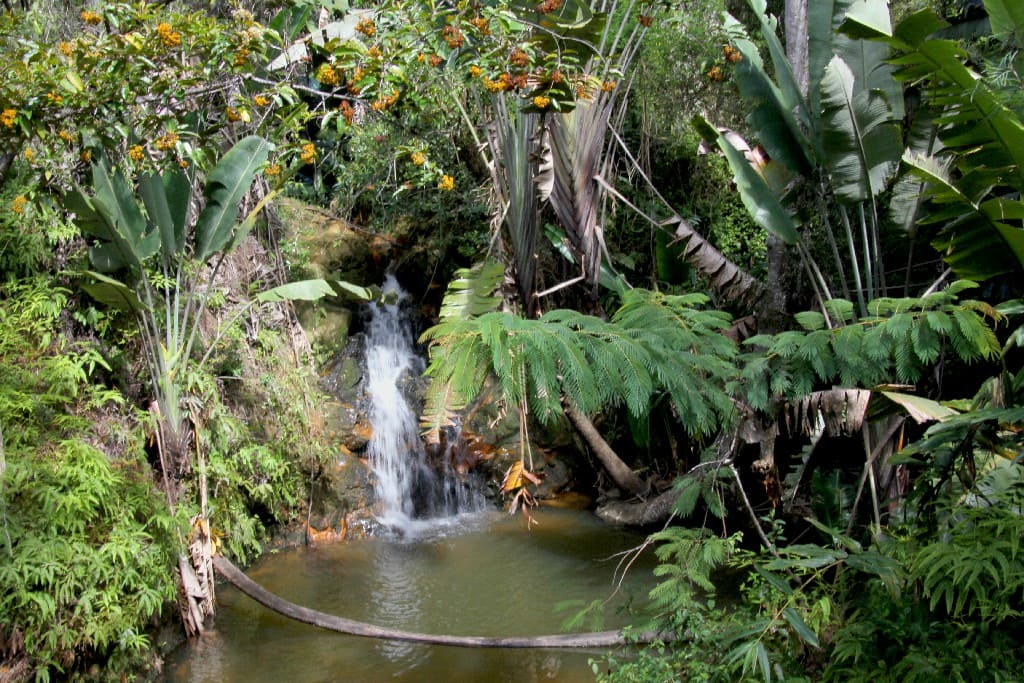 Parc National Mantadia