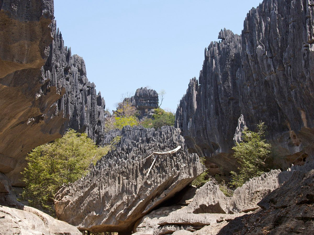 Tsingy of Namoroka National Park