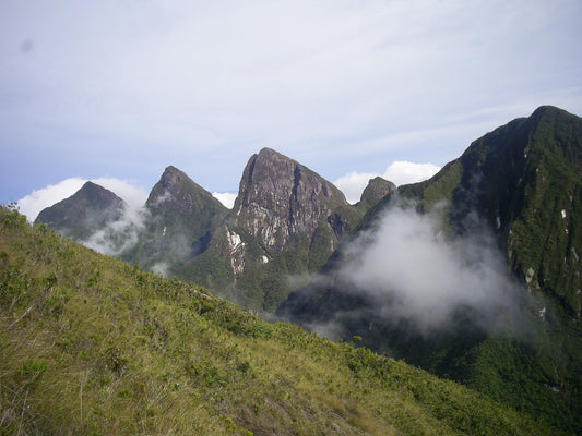 Parc National Marojejy