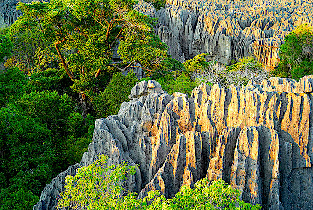 Tsingy de Bemaraha National Park