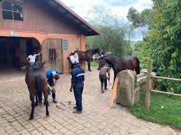 CENTRE EQUESTRE AMAJO