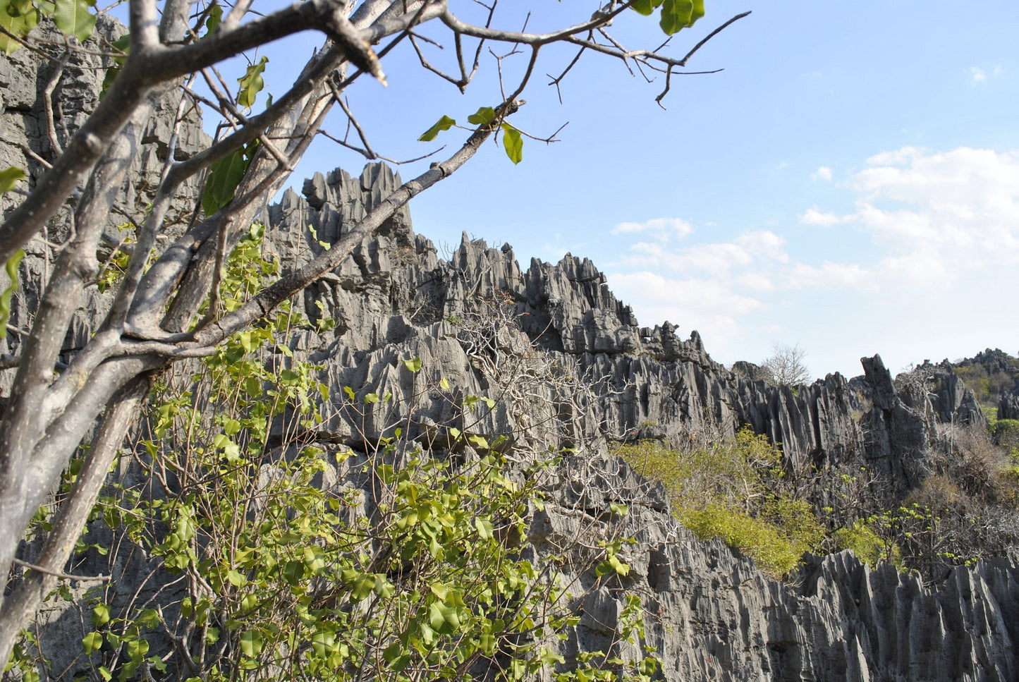 Parc National Ankarana