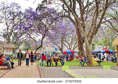 Jardin D'Antaninanerina