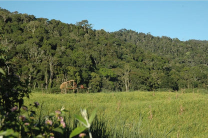 Zahamena Strict Nature Reserve