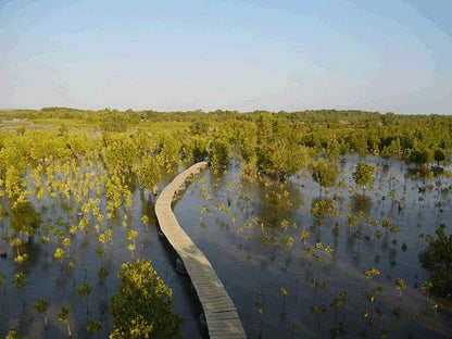 Honko Community-Based Mangrove Reserve