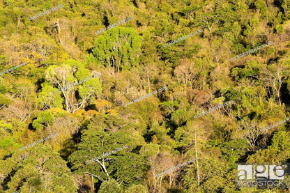 Protected Area of Andrafiamena-Andavakoera