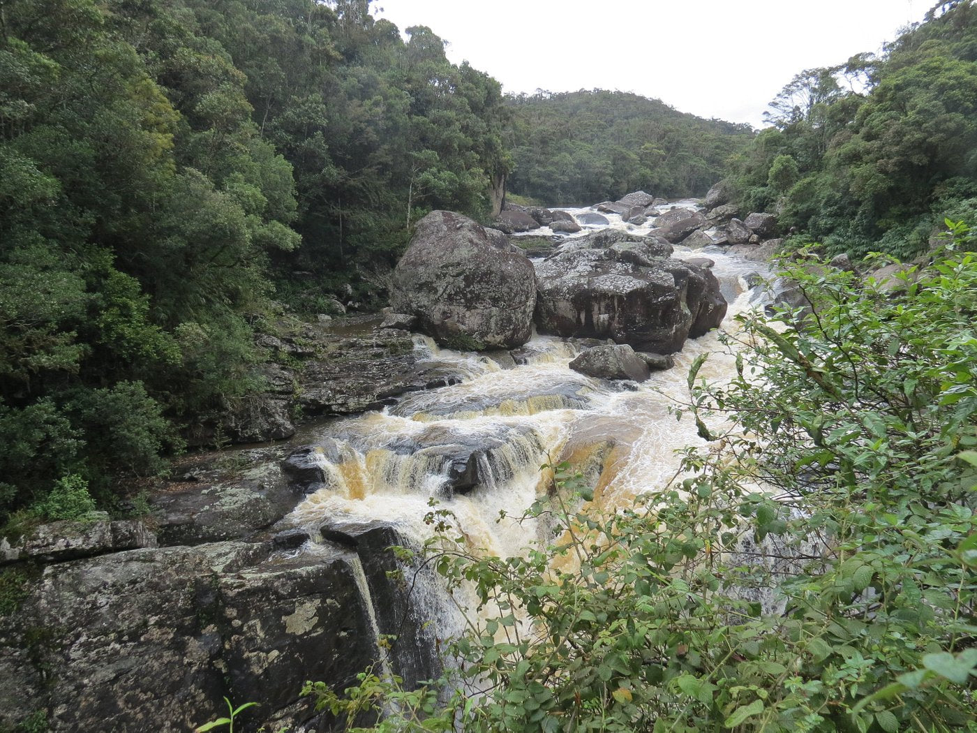 Parc National Ranomafana