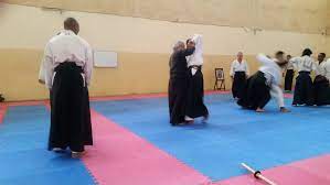 Dojo Aiki budo