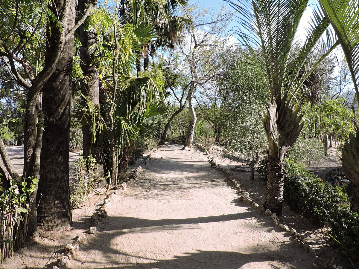 RANOPISO ARBORETUM