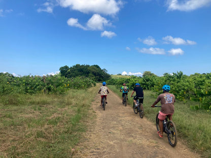 Mbike adventure à Nosy Be sur la route RN6