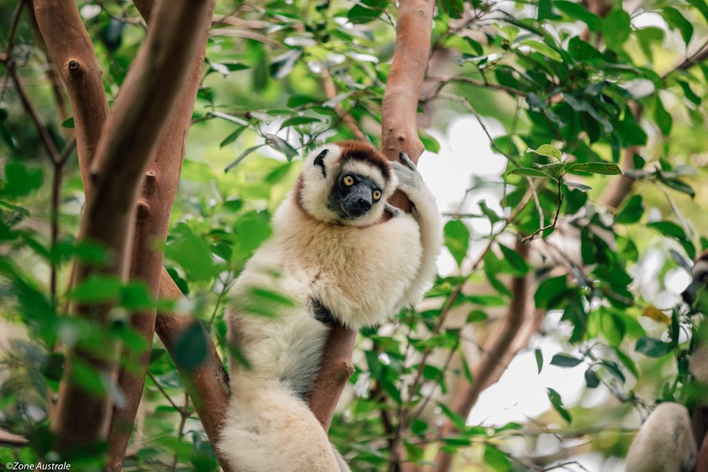 Nahampoana Reserve