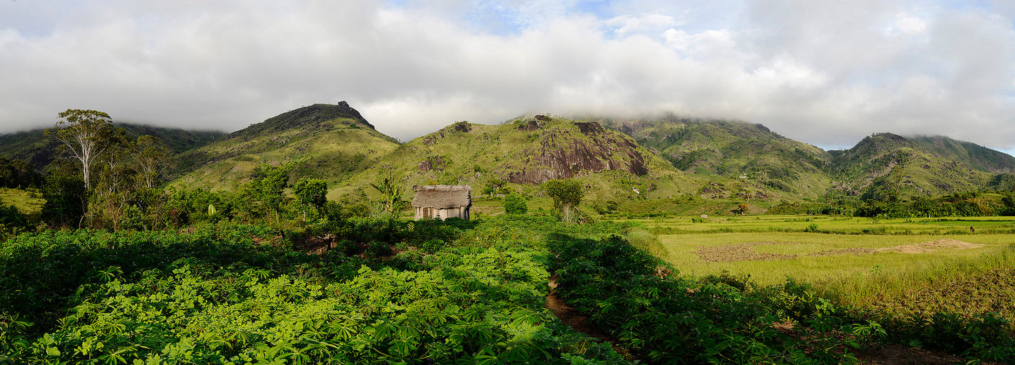 Nahampoana Reserve