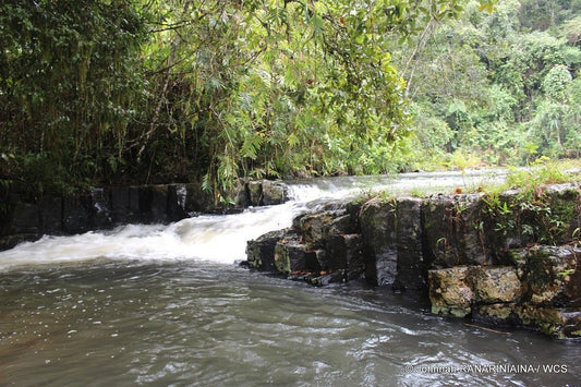 Makira Natural Park