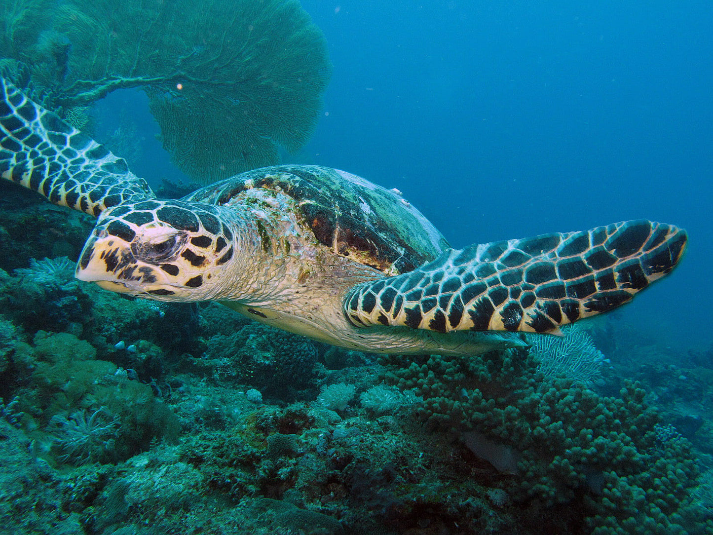 Nosy Tanihely Marine National Park