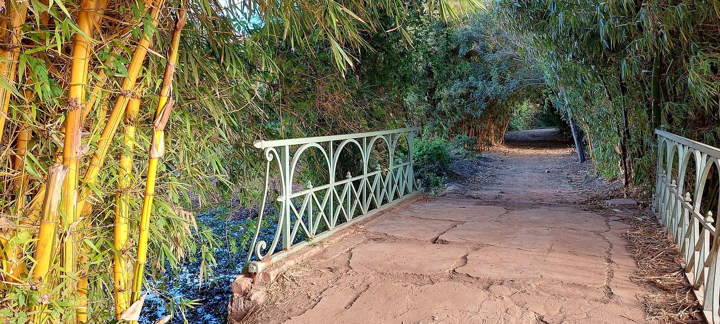 Tsarasaotra Park Madaonsort