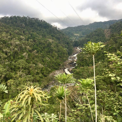 Parc National Ranomafana