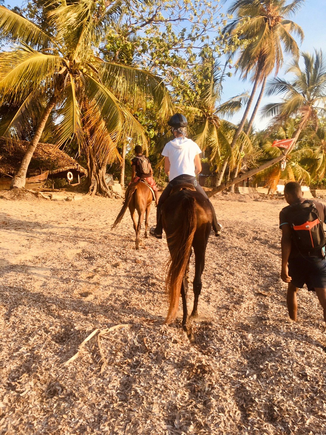 Ambaro Ranch à Nosy Be sur la route RN6