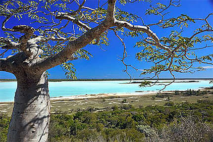 Parc National Tsimanampetsotsa