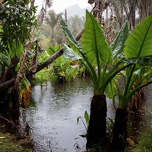 ARBORETUM DE RANOPISO