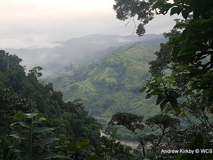 Makira Natural Park