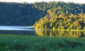 Ankarafantsika National Park