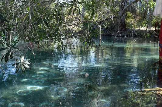 Sacred lake in Mahajanga