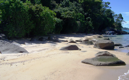 Lokobe National Park - Nosy be